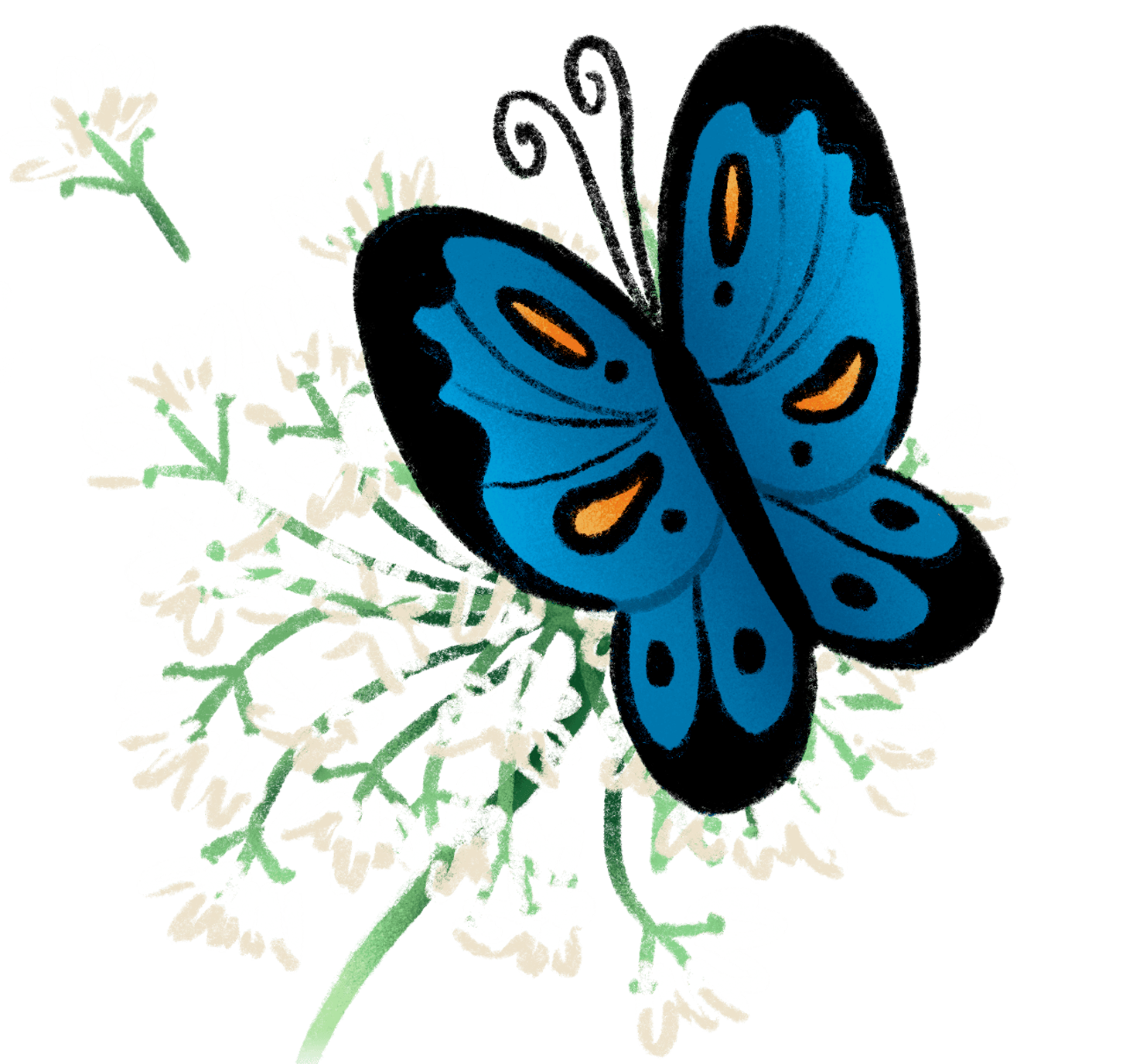 Safely Apply Anywhere