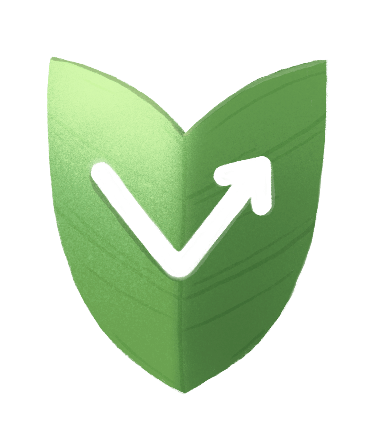 Effective Skin Support